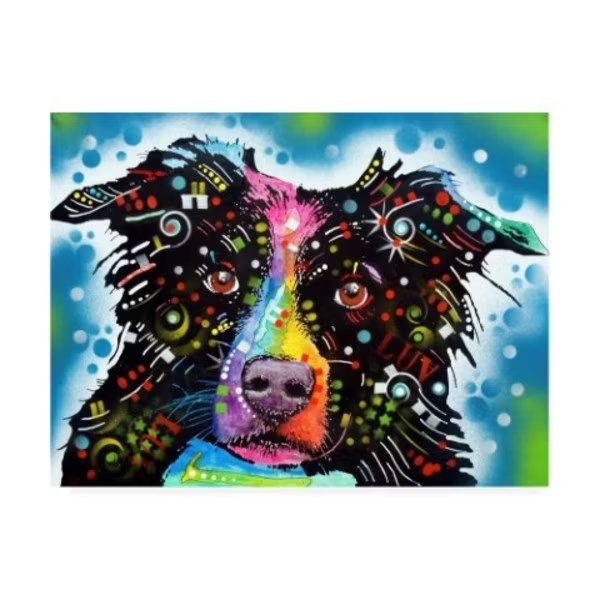 Dean Russo 'Border Collie 3' Canvas Art, 35x47, Trademark Fine Art, Mfr#: ALI46296-C3547GG